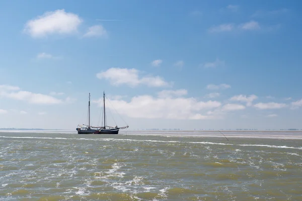 Clipper en holandés wadden mar — Foto de Stock