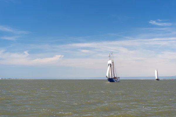 Clipper en holandés wadden mar — Foto de Stock