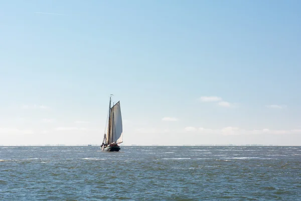 Vieux voilier néerlandais en mer — Photo