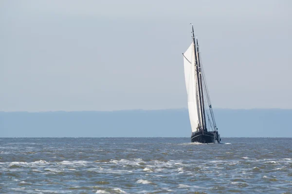 Clipper sul mare wadden olandese — Foto Stock