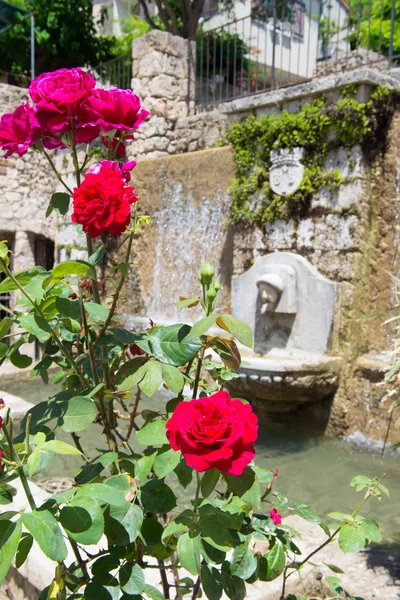 Romantické růže a fontána ve Francii — Stock fotografie