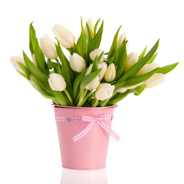 Beyaz Lale pembe kova