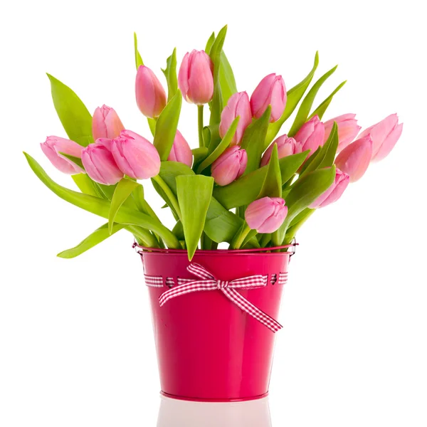 Różowe i białe tulipany w wiaderku — Zdjęcie stockowe