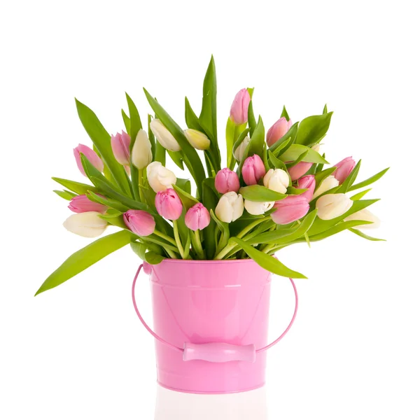 Pink and white tulips in bucket — Stock Photo, Image