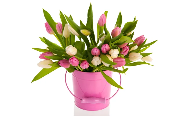 Růžové a bílé tulipány v kbelíku — Stock fotografie