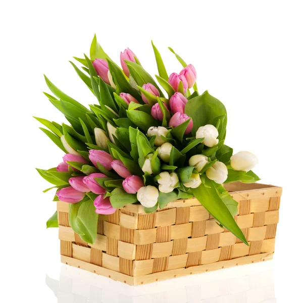 Roze en witte tulpen in mand — Stockfoto