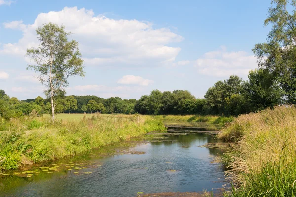 Paesaggio olandese — Foto Stock