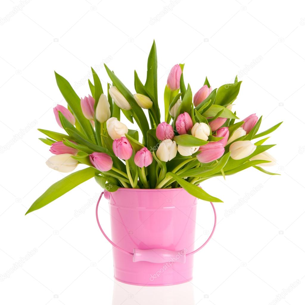 Pink and white tulips in bucket