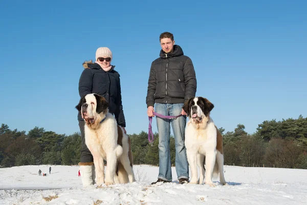 Owners with rescue dog in snow — Stock Photo, Image