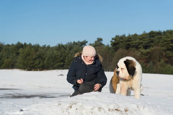 Owner with Sait Bernhard dog — Stock Photo, Image