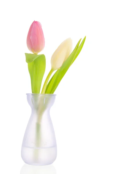 Tulipanes en florero —  Fotos de Stock