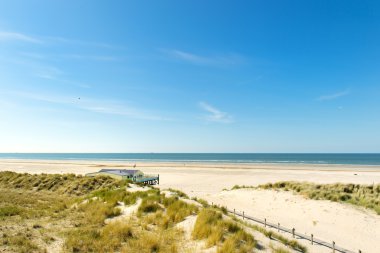Beach Hollandalı Kuzey Denizi