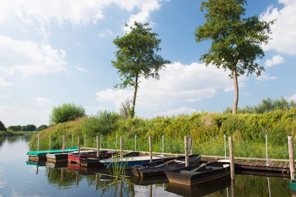 Nederlandse rivier in landschap — Stockfoto