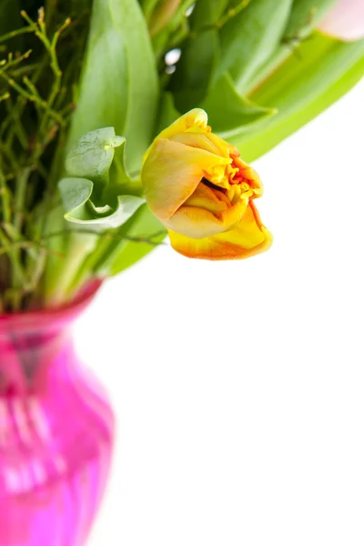 Tulipani in vaso — Foto Stock