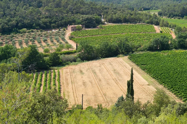 Paisaje con viñedos en Francia — Foto de Stock