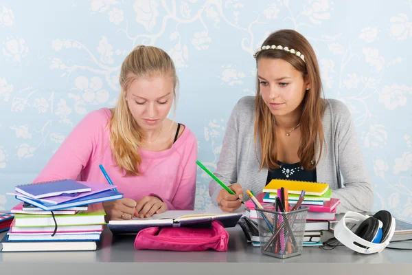 Dvě teen holky dělat domácí úkoly spolu — Stock fotografie