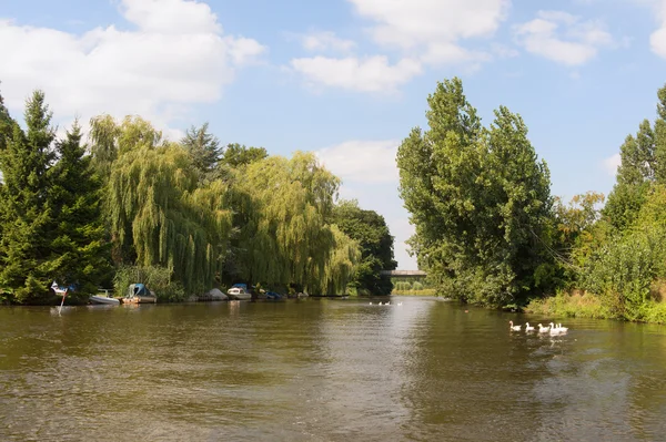 Nederlandse rivier in landschap — Stockfoto