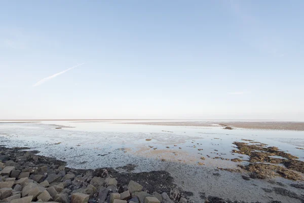 Wadden sea in Holland — Stock Photo, Image