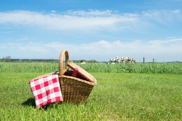 Coș de picnic în țară — Fotografie, imagine de stoc