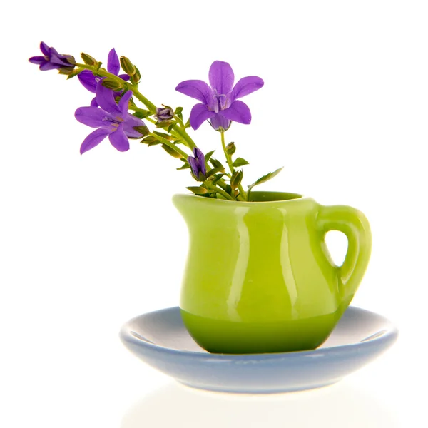 Flores de vaso — Fotografia de Stock