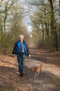 Komuta sizde yürüyen köpek orman içinde
