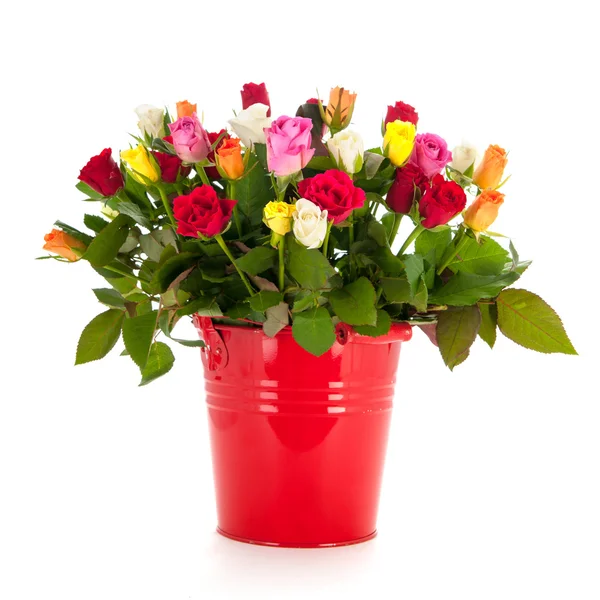 Kytice růží v kbelíku — Stock fotografie