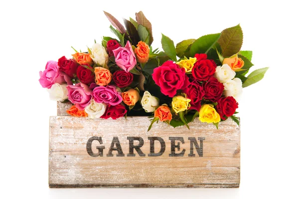 Färgglad bukett blandade rosor från trädgården — Stockfoto