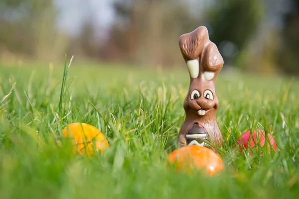 Easter hare with eggs — Stock Photo, Image