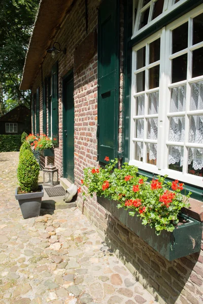 Detalle casa holandesa — Foto de Stock