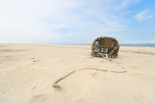 Ловушка для омаров на побережье Северного моря — стоковое фото