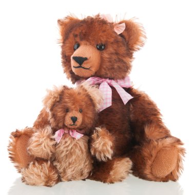 Beyaz arka plan üzerinde izole ayılar