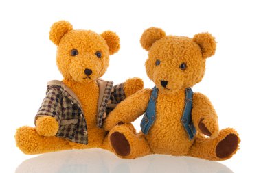 Beyaz arka plan üzerinde izole ayılar