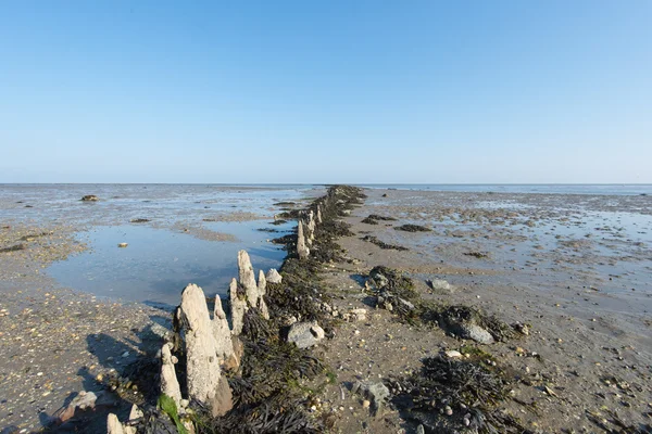 Θάλασσα Wadden στην Ολλανδία — Φωτογραφία Αρχείου