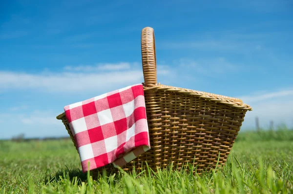 Cesta de piquenique na natureza — Fotografia de Stock