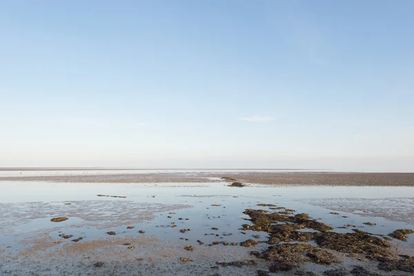 Θάλασσα Wadden στην Ολλανδία — Φωτογραφία Αρχείου