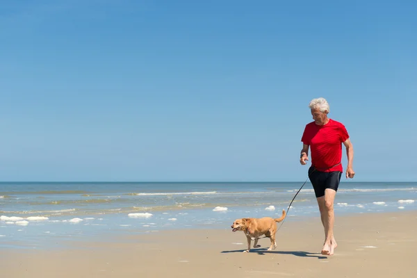 Köpek ile plajda çalışan — Stok fotoğraf