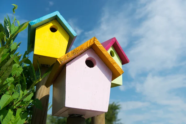 Casas de pássaros coloridas — Fotografia de Stock