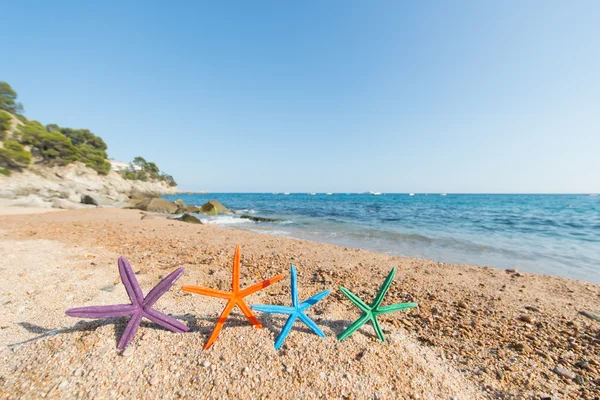 Stelle marine in spiaggia — Foto Stock