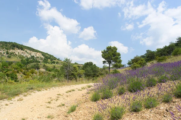 Landscape in the French Drome — Stock Photo, Image