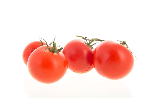 Fresh bunch tomatoes — Stock Photo, Image