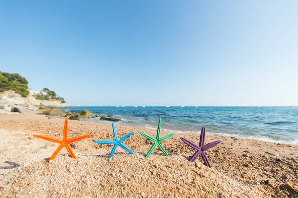 Морские звезды на пляже — стоковое фото