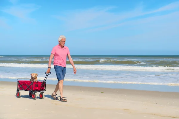 Homem sênior andando com cão na praia — Fotografia de Stock