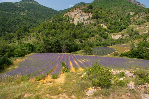 Paisagem no Drome francês — Fotografia de Stock