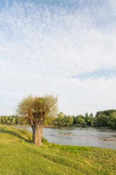 River in France — Stock Photo, Image