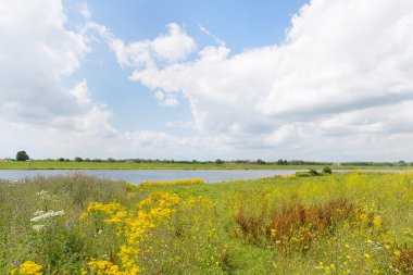 Hollandalı nehir manzara