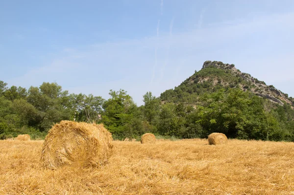 Hay bails in landscape — Stock Photo, Image