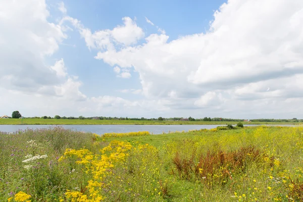 Paysage fluvial néerlandais — Photo