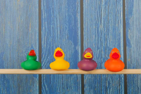 Funny toy ducks — Stock Photo, Image