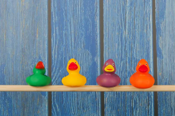 Patos de brinquedo engraçado — Fotografia de Stock