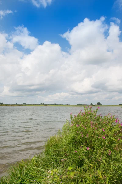 Paisaje fluvial holandés — Foto de Stock